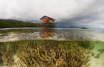 Split-level shot of a coral reef in the shallows with a house on stilts. North Raja Ampat, West Papua, Indonesia, February 2010