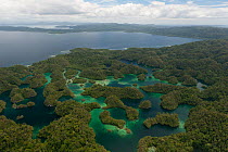 Aerial view of Raja Ampat's islands, sand cays and lagoons. Raja Ampat, West Papua, Indonesia, February 2010
