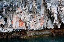 Karst limestone formations with ancient pictographs (rock / cave paintings) of fish and sea creatures. Sunmalelen area, Raja Ampat, West Papua, Indonesia, January 2010.