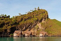 Bungalows of Misool Eco Resort, with cliffs behind. Misool, Raja Ampat, West Papua, Indonesia, January 2010.