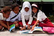 Girls from the Yellu Village school reading a book about the underwater world. Misool, Raja Ampat, West Papua, Indonesia, January 2010.