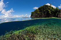Split-level shot of coral reef and island. Misool, Raja Ampat, West Papua, Indonesia, January 2010