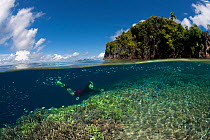 Split-level shot of coral reef and island with snorkeller swimming underwater. Misool, Raja Ampat, West Papua, Indonesia, January 2010.