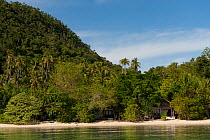 Sorido Bay Resort bungalows hidden in the bush by the beach. Raja Ampat, West Papua, Indonesia, February 2010.