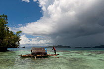 West Papuan fisherman in his outrigger house boat leaving the shallow island. Raja Ampat, West Papua, Indonesia, February 2010.