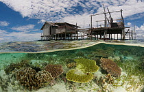 Split-level shot of a shallow coral reef and house on stilts. North Raja Ampat, West Papua, Indonesia, February 2010