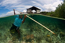 Split-level shot of West Papuan fisherman fishing with a spear near his outrigger houseboat. North Raja Ampat, West Papua, Indonesia, February 2010.