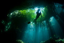 Light streaming into a shallow cave in a dive site called The Passage, with a diver swimming up towards the foliage visible above. North Raja Ampat, West Papua, Indonesia, February 2010. Model release...