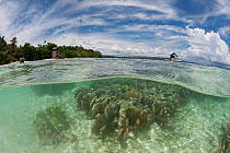 Split-level shot of a coral reef in the shallows with islands behind. North Raja Ampat, West Papua, Indonesia, February 2010.