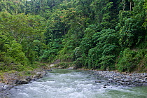 Bohorok River. Gunung Leuser National Park, North Sumatra, Indonesia, June.