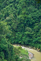 Bohorok River. Gunung Leuser National Park, North Sumatra, Indonesia, June.