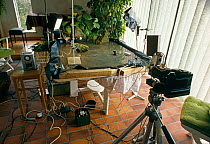 Equipment used by Stephen Dalton for photographing leaping leopard frog.  Camera, flashes and mock-up of water habitat is shown. UK.