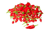 Ripe Chilli peppers (Capsicum annuum) in a pile.