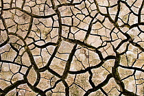 Cracked mud in dry river bed during summer. Surrey, UK.