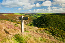 Countryside / Moorland view and footpath sign between County Gate and Brendon, Exmoor National Park, Somerset, UK. August 2010