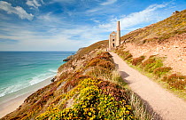Coastal path leading to Towanroath Engine House in the late evening light. Wheal Coates, near St Agnes, Cornwall, UK, August 2010