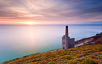 View of Towanroath Engine House and out over the sea in the late evening light. Wheal Coates, near St Agnes, Cornwall, UK, August 2010  *NOT AVAILABLE FOR UK 2016 RETAIL CALENDARS.