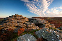 View from near Saddle tor towards Hound tor in the early morning light. Dartmoor National Park, Devon, UK, October 2010