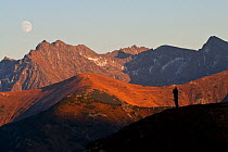 Slovak conservationist Erik Balaz silhouetted against Mt. Krivan and the High Tatras. Slovakia, September 2007.