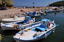 Small fishing boats moored in Skala Sikaminia harbour. Lesbos / Lesvos, Greece, August 2010