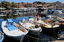 Fishing boats moored in Molyvos / Mithymna harbour with town and 13th century castle in the background. Lesbos / Lesvos, Greece, August 2010