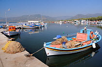 Traditional wooden fishing boats moored in Skala Kalloni harbour. Lesbos / Lesvos, Greece, August 2010