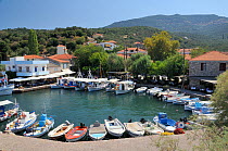 Overview of Skala Sikaminia harbour, packed with small fishing boats and surrounded by seafood tavernas. Lesbos / Lesvos, Greece, August 2010