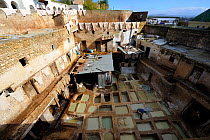 A tannery in the medina quarter of Fez, Morocco, December 2010.