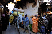 A man leading a loaded donkey through narrow streets. Medina quarter, Fes, Morocco, December 2010.
