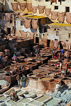 People working in the largest tannery in North Africa. Medina quarter of Fes, Morocco, December 2010.