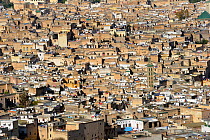Medina quarter of Fes. Morocco, December 2010.