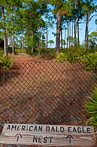 Sign to a Bald Eagle nest (Haliaeetus leucocephalus). Honeymoon Island, Florida, USA, January 2011