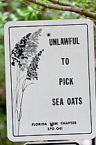 "Unlawful to pick sea oats" sign. (Uniola paniculata.) Fort de Soto, Florida, USA, January 2011