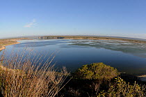 De Hoop Vlei wetlands. Western Cape, South Africa, January 2011.