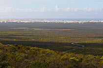 De Hoop Nature Reserve and dunes on the horizon. Western Cape, South Africa, January 2011.