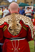Regimental Bandsman (drummer) in the British army wearing traditional Cheetah skin, UK