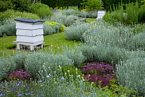 Bee Hive in herb garden with flowering plants, Norfolk, UK