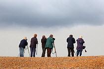 Group of women birdwatching from beach at Salthouse, Norfolk, UK