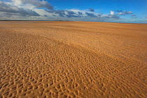 Vast expanse of sand at low tide, Bob Halls sand, Wells, North Norfolk Coast, UK
