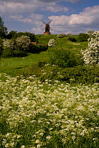 Brill windmill, Buckinghamshire, UK, May