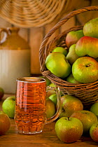 Glass of cider and basket of apples, Norfolk, UK