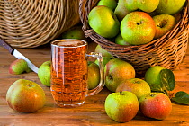 Glass of cider and basket of apples, Norfolk, UK
