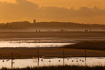 Cley nature reserve on an Autumn evening with silhouette of visitors walking along dyke and waders and ducks on water, Norfolk, UK, November