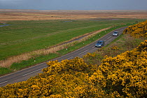 Aerial view of cars on the coast road at Cley, Norfolk, UK