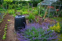 Compost bin in vegetable garden, Norfolk, UK