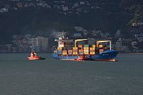 Tugs escorting Container ship into Wellington harbour, view from Mount Victoria, North Island, New Zealand, 2009
