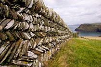 Traditional cornish drystone wall built in herringbone pattern, Bossiney, Cornwall, UK