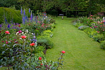 Cottage garden in summer with flowering roses, delphiniums, lupins, Norfolk, UK, June