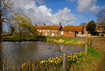 Burham Overy mill with farm cottages and pond, in spring, Norfolk, UK,