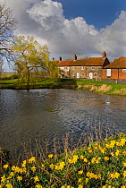 Burham Overy mill with farm cottages and pond, in spring, Norfolk, UK,